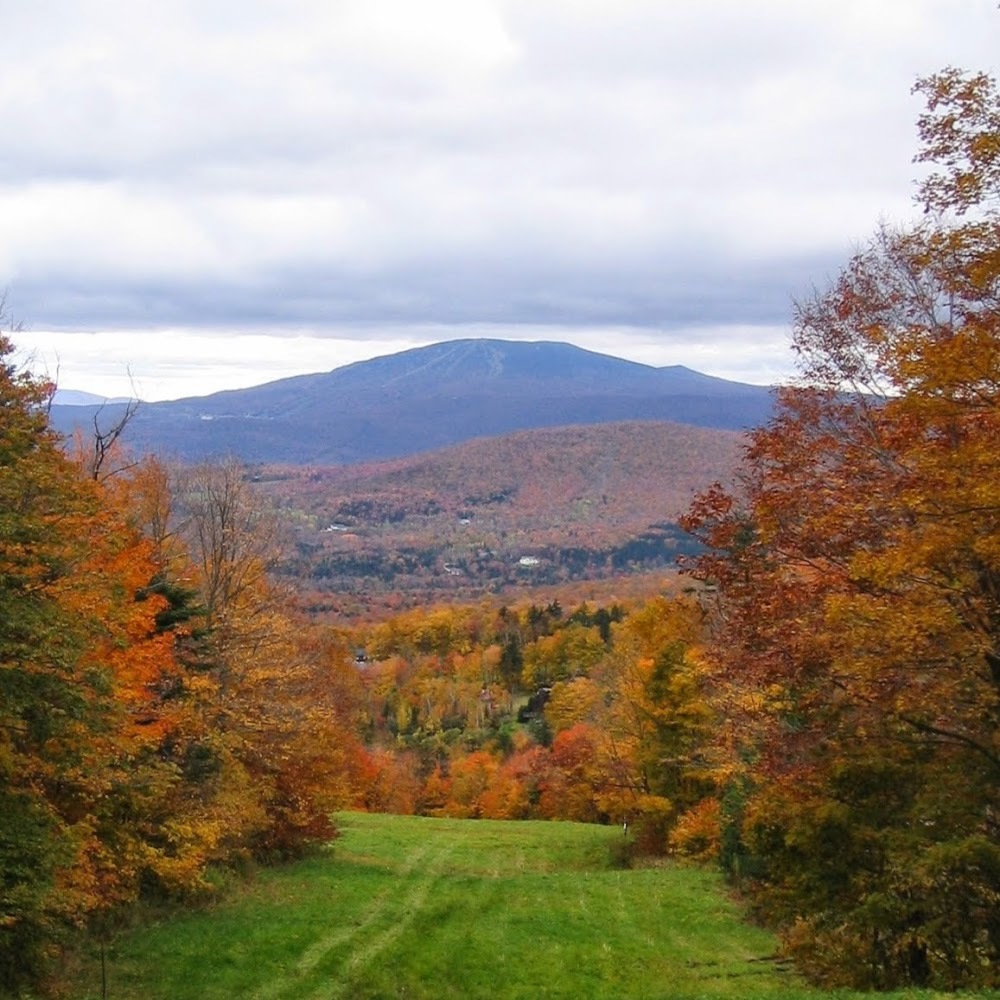 Meet your Posher, Janelle